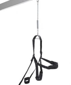 Pipedream What's New Fantasy Sex Swing