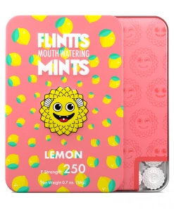 Flintt Mouth Watering Mints 12 Flintt Mouth Watering Mints