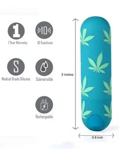 Maia Toys Jessi 420 10 Function Mini Rechargeable Bullet What's New