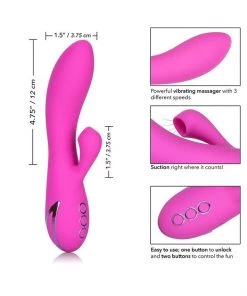 California Exotic Novelties California Dreaming Malibu Minx Purple Rabbit Style Vibrator