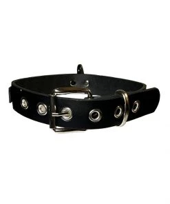 Funk Plus Babygirl BDSM Collar What's New