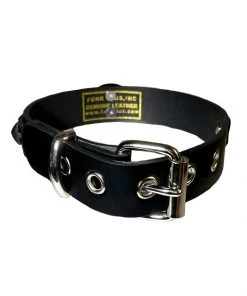 Funk Plus What's New Black Studded BDSM Collar