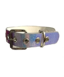 Funk Plus Holographic Collar And Leash What's New
