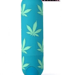 Maia Toys Jessi 420 10 Function Mini Rechargeable Bullet What's New