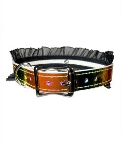 Funk Plus What's New Rainbow Ruffle BDSM Collar