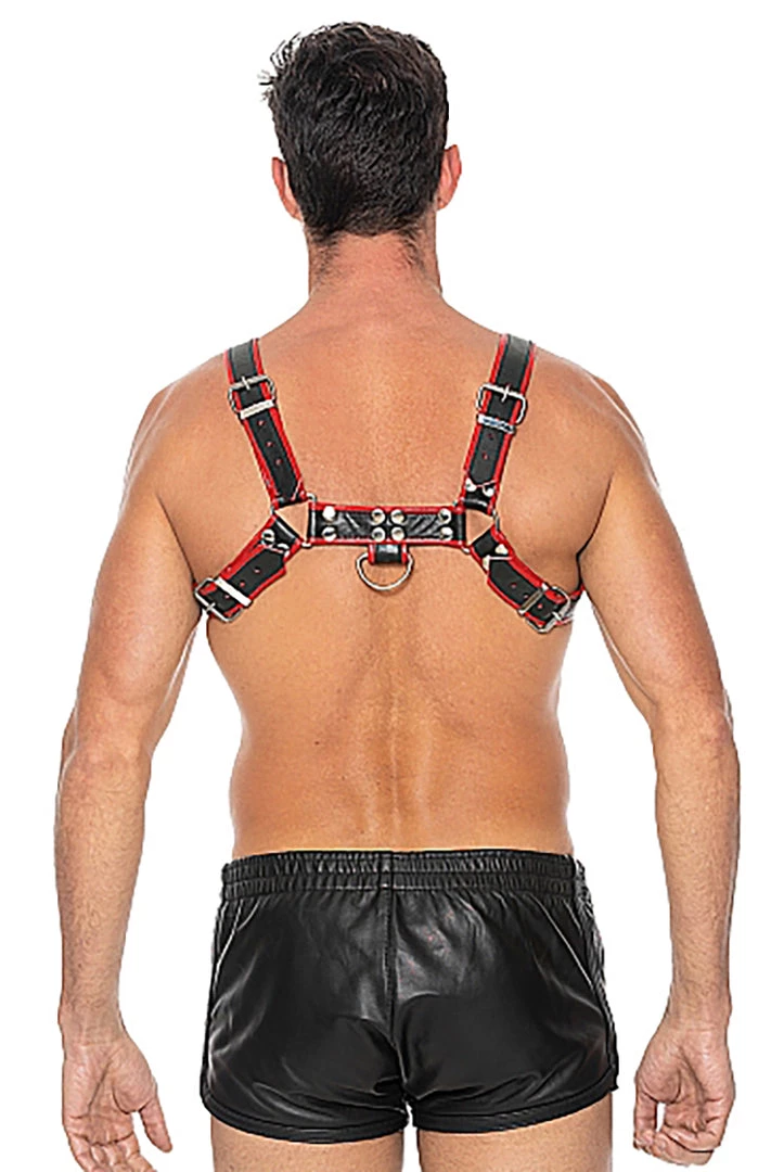 Midnight Black And Red Bulldog Chest Harness What's New 2 Midnight Black And Red Bulldog Chest Harness What's New
