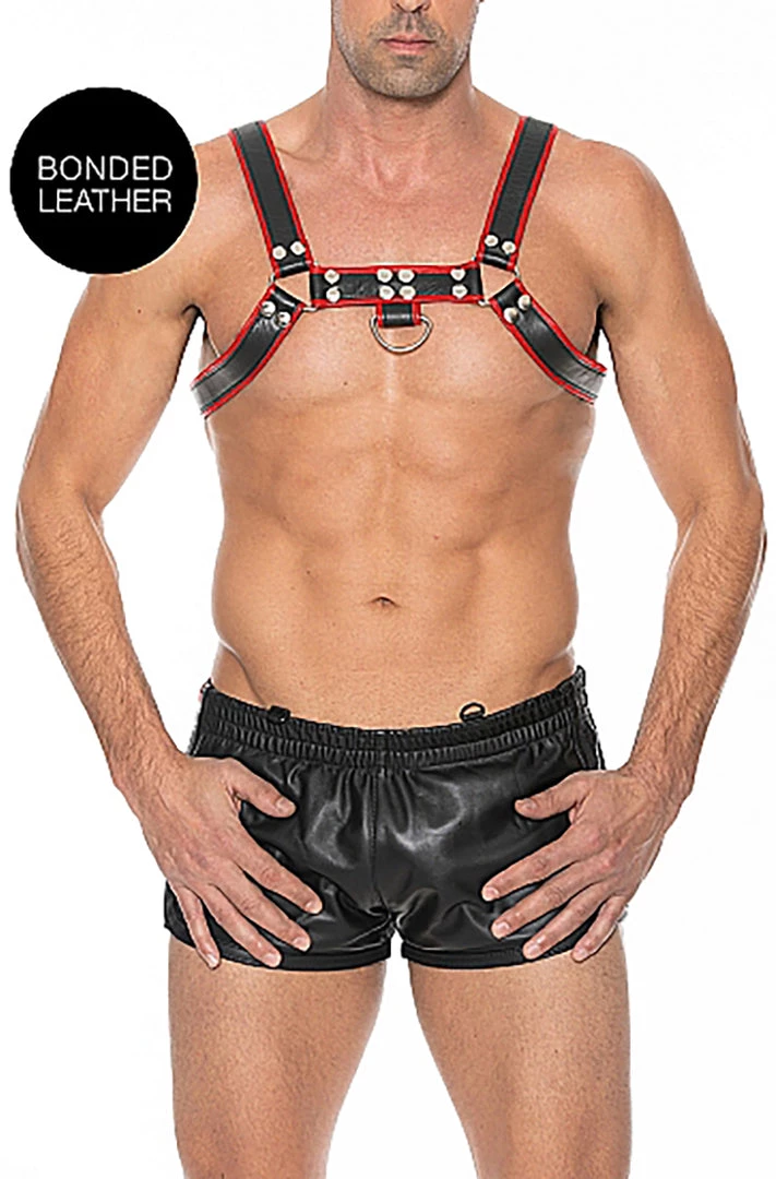 Midnight Black And Red Bulldog Chest Harness What's New 1 Midnight Black And Red Bulldog Chest Harness What's New