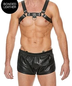 Midnight What's New Bulldog Chest Harness