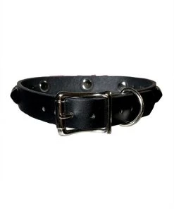 Funk Plus Slut BDSM Collar What's New 5 Funk Plus Slut BDSM Collar What's New