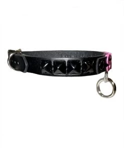 Funk Plus Slut BDSM Collar What's New