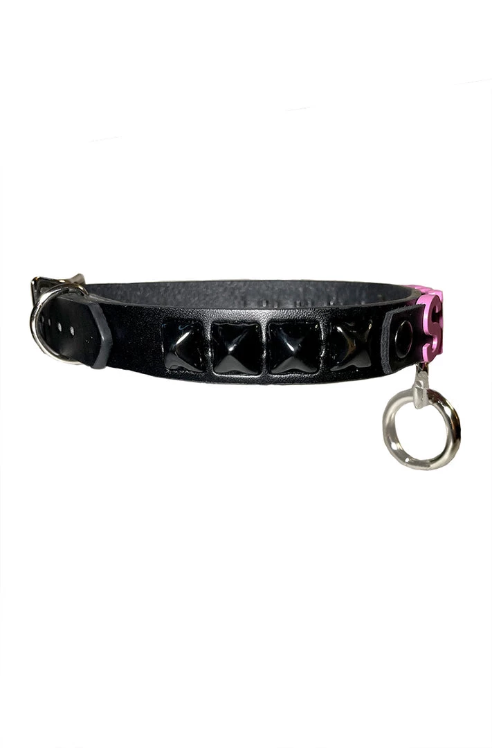 Funk Plus Slut BDSM Collar What's New 2 Funk Plus Slut BDSM Collar What's New